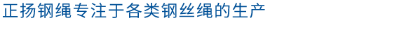 鍍鋅鋼絞線(xiàn).png